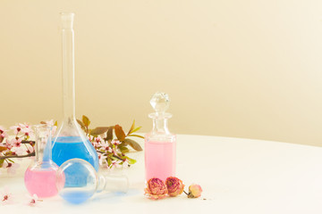 aromatherapy - dry flowers and potions