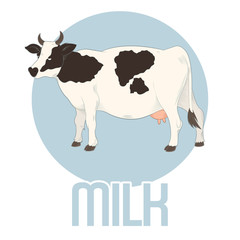 Cow Milk Banner