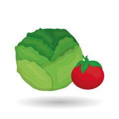 Vegetable design over white background, vector illustration