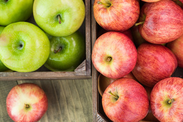 Assorted farm organic apples in crates.