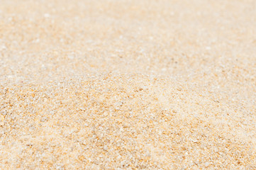 Fototapeta na wymiar Texture in the sand of a beach