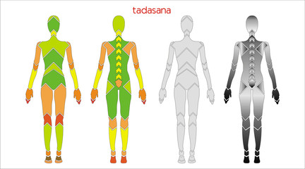 Image result for tadasana