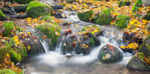 beautiful cascade waterfall in autumn forest © Alexander Ozerov