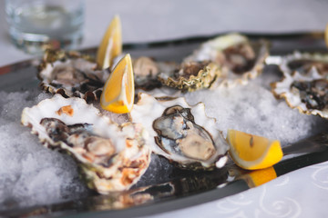 Beautifully decorated catering banquet table with oysters, mussels and seafood with ice and lemon on corporate christmas birthday party event or wedding celebration