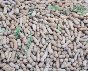 Group of ripe tamarind pods on the wood table.