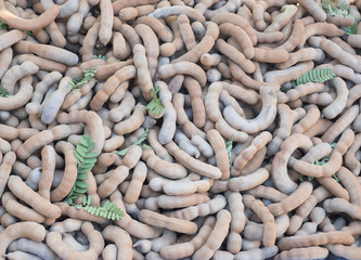 Group of ripe tamarind pods on the wood table.