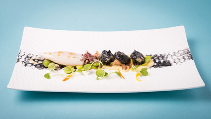Haute cuisine presentation of cuttlefish.