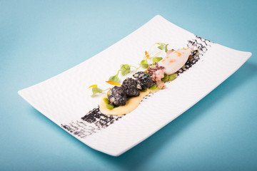 Haute cuisine presentation of cuttlefish.