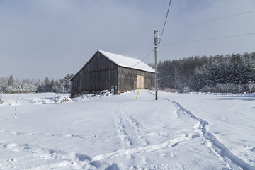 Early Winter Season Landscape Scene on Sunny Day after Fresh Sno