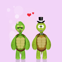 turtles couple
