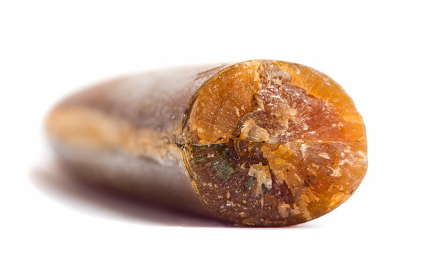 part belemnite (thunderbolt) on a white background