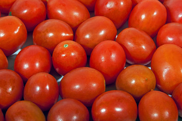 Close up Collection of Bright Red Cherry Tomatoes