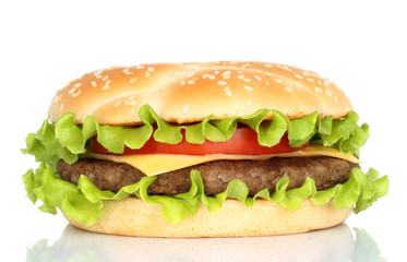Big hamburger on white background