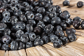 fresh picked blueberries