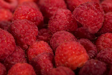 Fresh raspberries
