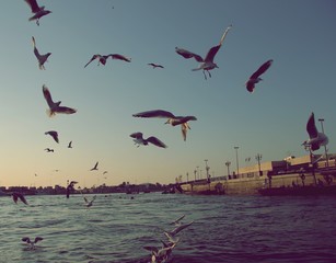 Fahrt auf dem Creek - Dubai, Vereinigte Arabische Emirate.