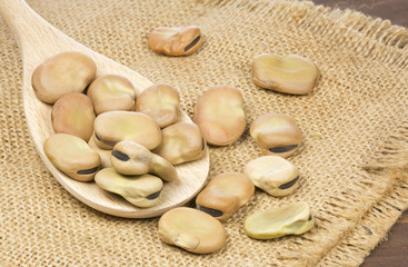 Dried broad beans in a wooden spoon