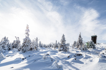 Winter auf dem Brocken, verschneite Bäume und blauer Himmel