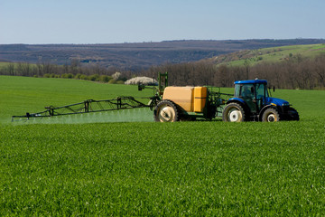 Obraz premium Tractor spraying pesticide in a field of wheat