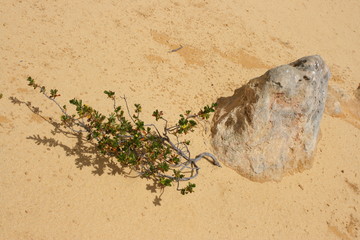 Stein in gelbem Sand