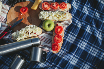 Obraz na płótnie Canvas picnic on the plaid. Sandwiches, fruit and tea