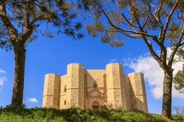 Stones of Apulia.Castel del Monte: the main facade.-ITALY(Andria)-Castel del Monte aka Castrum Sancta Maria de Monte, an Unesco world heritage site in Apulia.