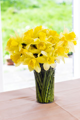 Bouquet of daffodils in vase