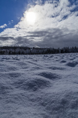 Early Winter Season Landscape Scene on Sunny Day after Fresh Sno