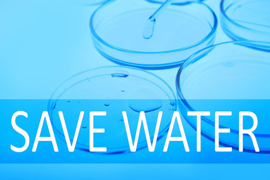 Petri dishes in laboratory with blue light. Save water concept.