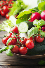 Tomato, cucmber, radish, basil and fennel on the wooden table