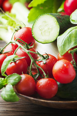 Tomato, cucmber, radish, basil and fennel