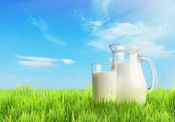 Milk in glassware on nature background