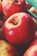 Juicy red apples, close up