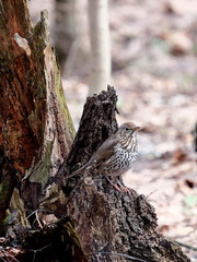On guard
