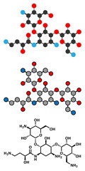 Amikacin aminoglycoside antibiotic molecule. 