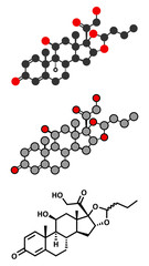 Budesonide corticosteroid drug. Used in treatment of COPD, asthma, etc