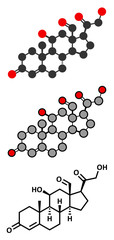 Aldosterone steroid hormone molecule. 