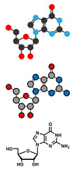 Guanosine purine nucleoside molecule. 