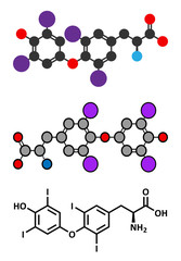 Thyroxine (T4, levothyroxine) thyroid hormone molecule. 