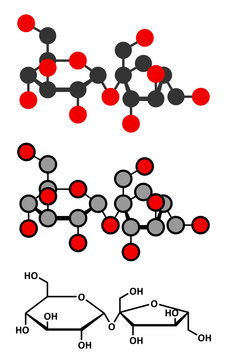 Sucrose sugar molecule. Also known as table sugar or cane sugar.