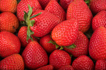 Fresh strawberry background. Ripe strawberry in close-up.