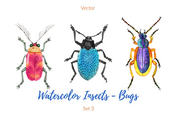 Set of hand painted watercolorbugs, vector.