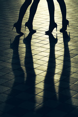 Female legs in shoes