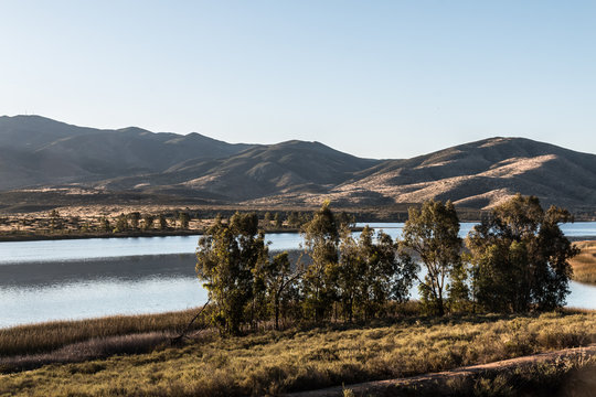 Group Of Trees With Lake And Mountain Range In The Distance At Lower Otay Lake In Chula Vista, California. 