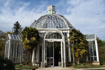 Fototapeta na wymiar Palm house in Geneva Botanical Gardens