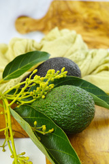 Fresh green avocados with leaves on olive wood