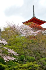 Obraz premium 京都 清水寺三重塔