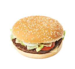 Fresh hamburger isolated
