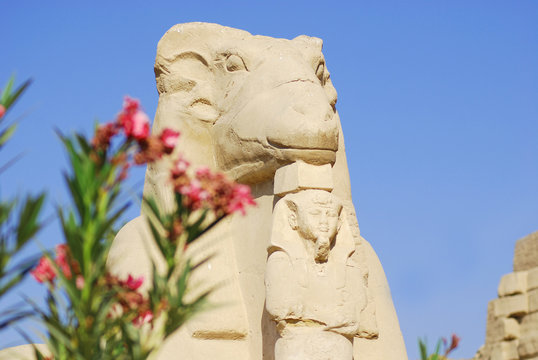 Avenue of ram-headed sphinxes, Temples of Karnak, Luxor, Egypt 