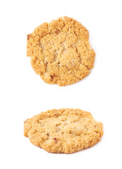 Oatmeal cookie isolated